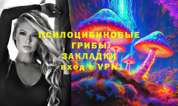 шишки Волосово