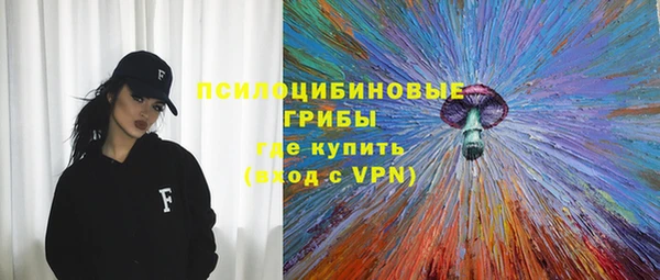 шишки Волосово