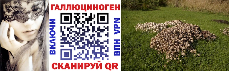 Галлюциногенные грибы прущие грибы Кисловодск
